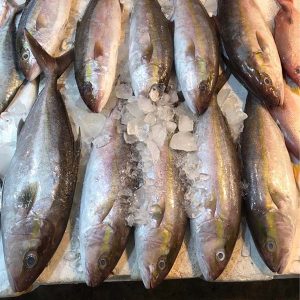 cá cam biển tươi ngon giá rẻ tại Đà Nẵng & Gh Toàn Quốc